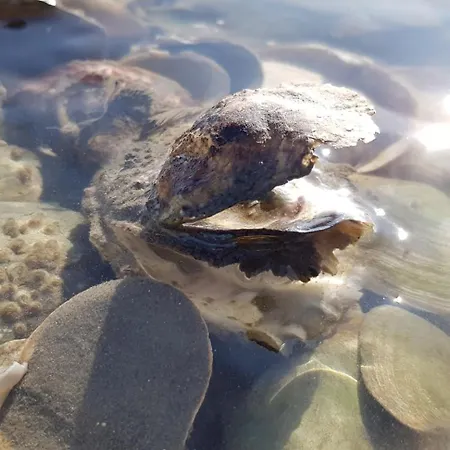 Sonnenwohnung * Cappel-Neufeld