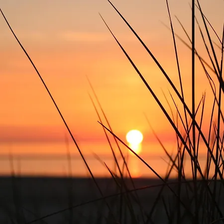 Sonnenwohnung * Wurster Nordseekuste