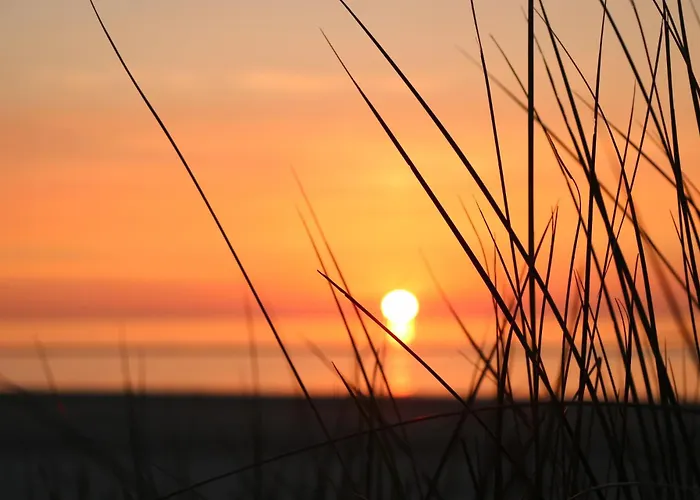 Sonnenwohnung * Wurster Nordseekuste